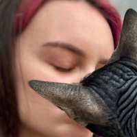 kat.but.no.hat Desnuda