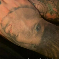 xfootfetishcouplex Desnuda